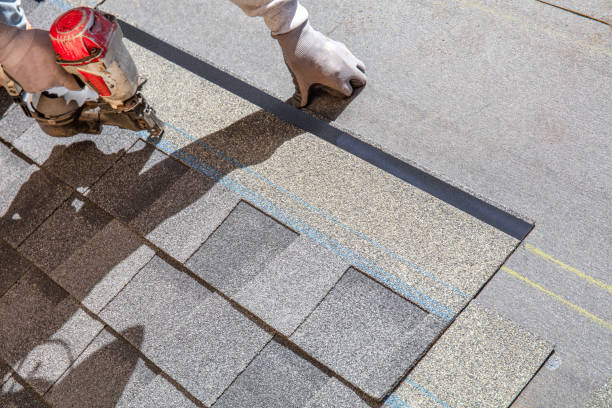 Best Storm Damage Roof Repair  in Beeville, TX